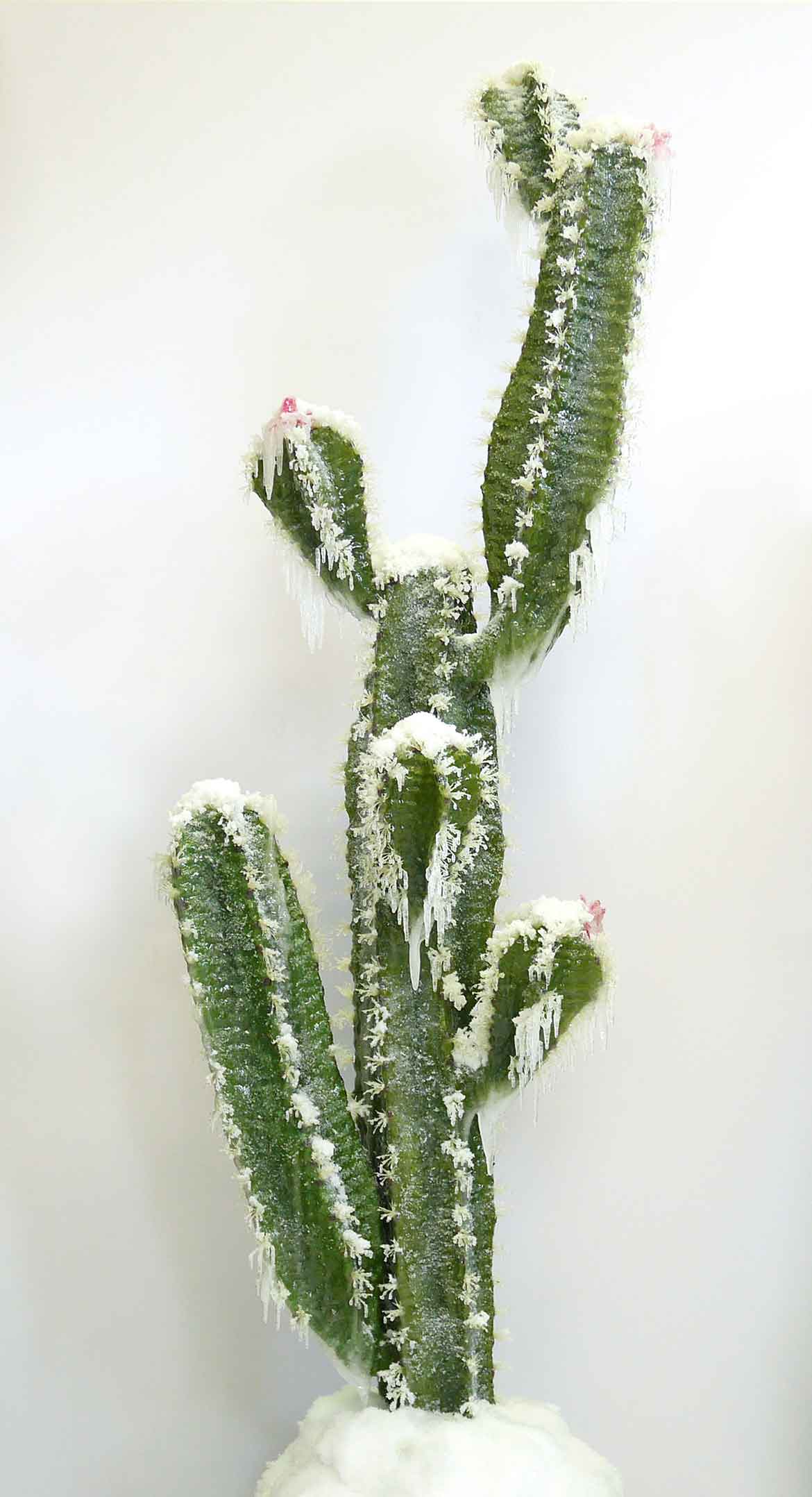 © Laurent Pernot, Série Still Life, Cactus, Résines, bois, mousse, neige et givre artificiels, vernis, 175 x 90 x 70 cm, 2014